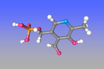 Pyridoxal phosphate molecule. Atoms are shown as spheres with color coding: carbon (grey), oxygen (red), hydrogen (white), nitrogen (blue), phosphorus (orange). 3d illustration