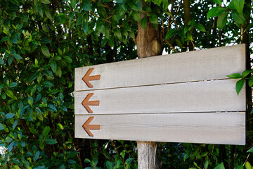 Blank wooden signpost with arrows on tree outdoors