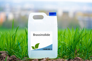 Brassinolide a naturally occurring plant growth regulator that promotes cell division and elongation, enhances stress tolerance, and increases yields.