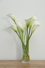 Beautiful calla lily flowers in glass vase on wooden table near white wall