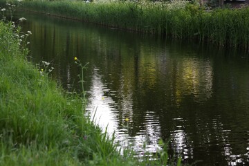 Beautiful view of channel with green reeds outdoors