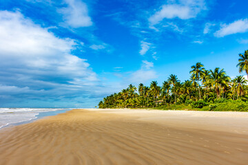 Landscape of the idyllic beach of Sargi with its coconut trees and sand meeting the sea in Serra Grande on the coast of Bahia, northeastern Brazil