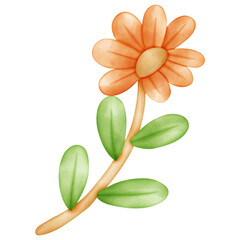 Single orange flower bloom illustration