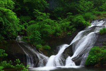 夏の釜淵の滝