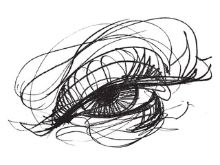 The human eye. Line drawing of the pupil. Sketch of a man's eye. part of the face