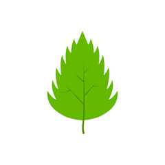 Green tree leaves. Leaves of oak , aspen, linden, maple, chestnut, clover, and plants.