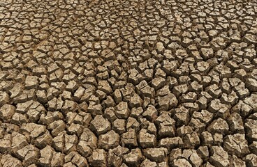 Drought Land or Dried Cracked Land Due to Water or Rain Crisis in India Rural Area