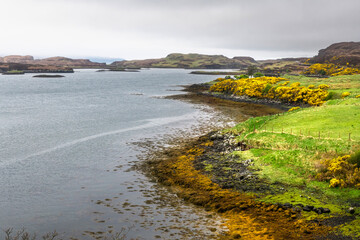 Stunning panorama, view of Scottish landscape, Highlands, Scotland, Isle of Sky - 613827331
