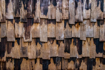 Many small pieces of wood rectangular shape arrange into layers, background, texture