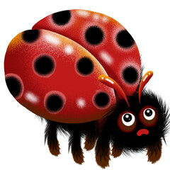 Obraz premium animals