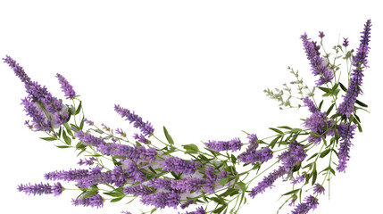 lavender sprigs forming a corner border frame with negative space on a transparent background, generative ai
