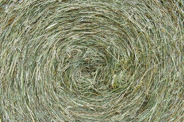 Detail shot of straw bales on the meadow