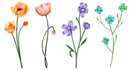 Naklejka premium Wild Flower Watercolor