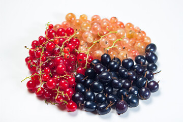 Various varieties of currants. Red, black and white currants on a white background
