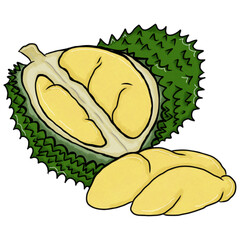Durian and leaf
