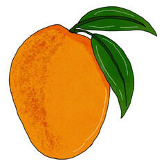 Mango with leaves