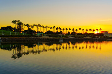 Naklejka premium Golden Twilight on Long Beach Waterfront