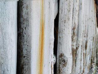 Weathered wooden wall painted in white. 