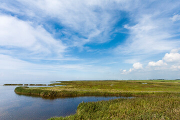 Fototapeta na wymiar Landschap in Warkumerwaard; Landscape at Warkumerwaard