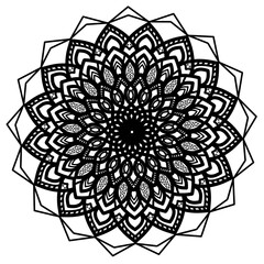 Illustration mandala circle flower intricate drawing  