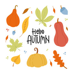 Autumn set of vector hand-drawn elements. Fall design elements. Set of leaves, pumpkins, acorns. Hello autumn inscription.