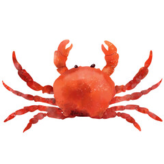 Crab