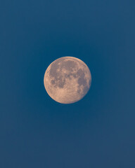 Naklejka na ściany i meble Orange Waxing Gibbous moon just after sunset in a deep blue sky