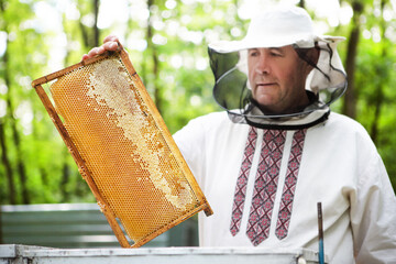 Beekeeper is working with bees and beehives on the apiary. Beekeeping. Apiculture.