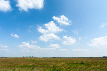 Nature area De Wilck