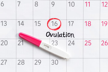 Pregnancy test with female ovulation day on calendar - obrazy, fototapety, plakaty