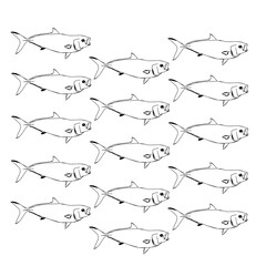 Obraz premium Pattern of California Yellowtail Fish 