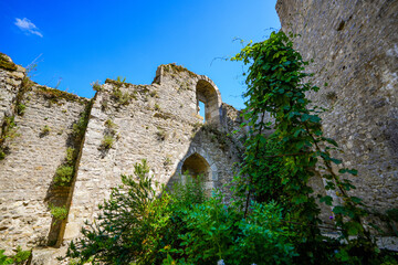 Garden of old plants growing in the ancient lodge of the medieval castle of Yèvre le Châtel in...