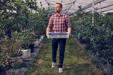 Farmer with fresh blueberries on a farm.