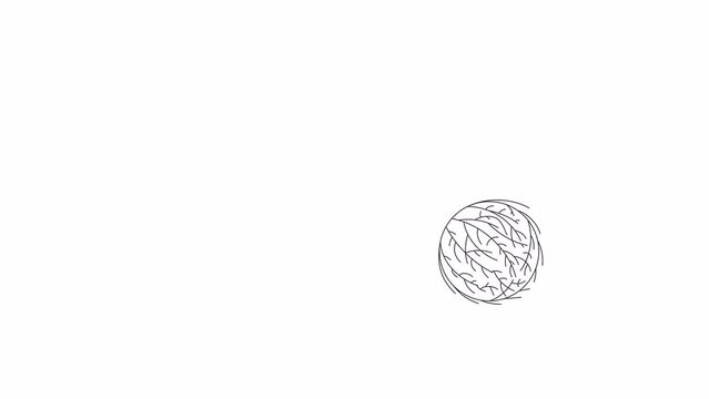 Tumbleweed rolling bw animation. Flat outline style icon 4K video footage for web design. Desert wind isolated monochrome thin line animated object on white background with alpha channel transparency
