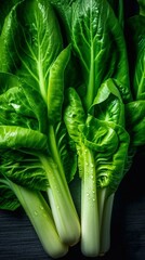 Close up of Fresh green Bok Choy or Pak Choi(Chinese cabbage) on wooden background. Organic vegetables. Top view. AI generated