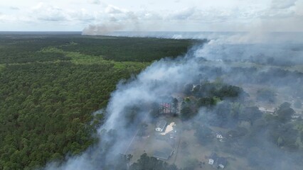 Preventing wildfire with controlled burn of forest landscape to promote sustainable natural environment for wildlife and plants and fight climate change as global temperatures warm