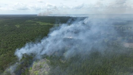 Preventing wildfire with controlled burn of forest landscape to promote sustainable natural environment for wildlife and plants and fight climate change as global temperatures warm