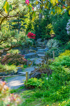 Seatac Garden Steps