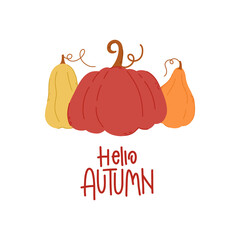 Hello autumn. Decorative design composition with fall lettering and seasonal elements. Hand drawn phrase with pumpkins.
