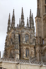 Fototapeta premium Catedral de Burgos 