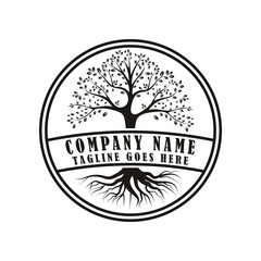 Obraz premium Root Leaf Family Tree of Life Oak Banyan Maple Stamp Seal Emblem Label logo