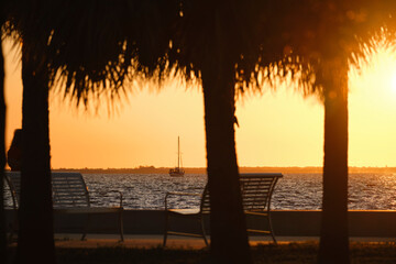 Dark palm trees on tropical beach against evening sky. Summer vacation concept