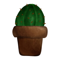 cactus in a pot - 613893991
