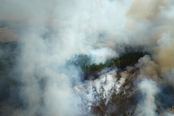 View from above of dense smoke from woodland and field on fire rising up polluting air. Concept of natural disaster