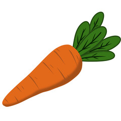 Vegetable 