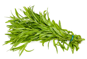 Bunch of tarragon isolated on a white background