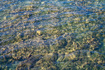 Shallow Ocean Waters Over a Colorful Tropical Reef in Hawaii.