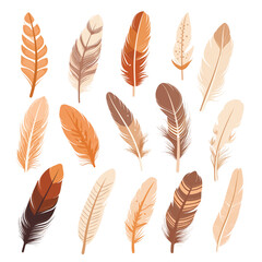 Set of vibrant multicolored feathers arranged on a clean white background. Vector Illustration