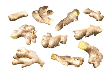 Cut out ginger. Fresh ginger root isolated on white background. With clipping path. Natural organic...