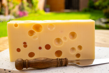 Cheese collection, french hard cheese with holes emmentaler close up